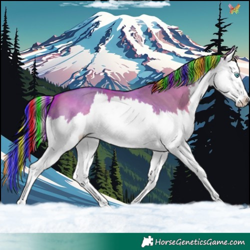 Horse Color:Painted Watercolor White Spotted Liver Red Dun Splash 