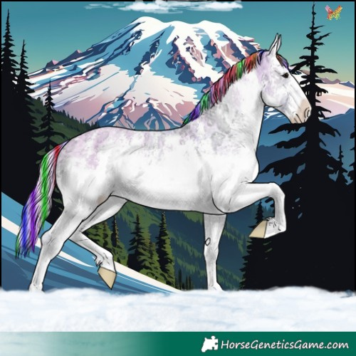 Horse Color:Painted Watercolor White Spotted Grullo Ice Onyx Sabino 