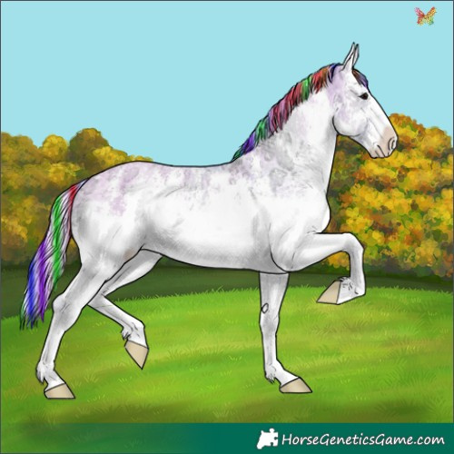 Horse Color:Painted Watercolor White Spotted Grullo Ice Onyx Sabino