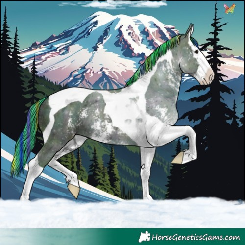Horse Color:Painted Watercolor Midnight Grullo Ice Sabino Splash Tobiano 