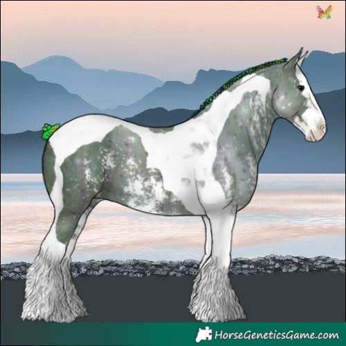 Horse Color:Painted Watercolor Midnight Grullo Ice Sabino Splash Tobiano 