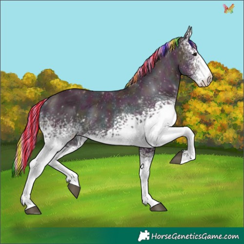 Horse Color:Painted Watercolor White Spotted Midnight Black Ice