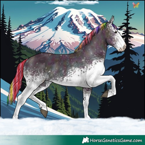 Horse Color:Painted Watercolor White Spotted Midnight Black Ice 