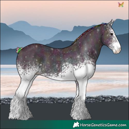 Horse Color:Painted Watercolor White Spotted Midnight Black Ice 