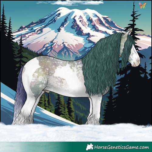 Horse Color:Watercolor White Spotted Grullo Ice Onyx Splash Tobiano 