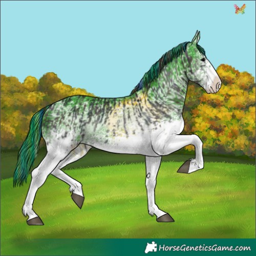Horse Color:Painted White Spotted Midnight Blue Onyx Ice Tobiano and Watercolor White Spotted Black Ice