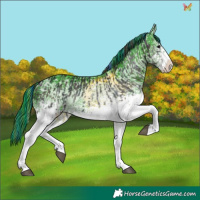 Horse Color:Painted White Spotted Midnight Blue Onyx Ice Tobiano  and Watercolor White Spotted Black Ice 