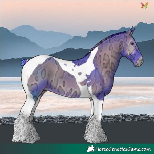 Horse Color:Painted Watercolor Blue Onyx Ice Tobiano 