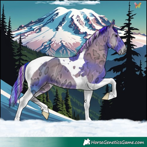 Horse Color:Painted Watercolor Blue Onyx Ice Tobiano 
