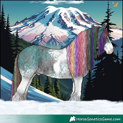 Horse Color:Painted White Spotted Black Ice Tobiano 