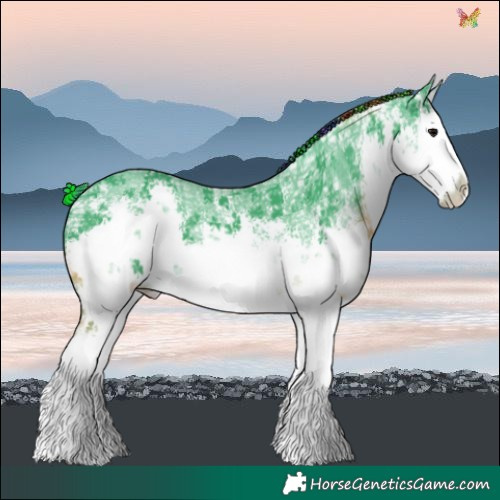 Horse Color:Painted Watercolor White Spotted Black Ice Sabino Splash 