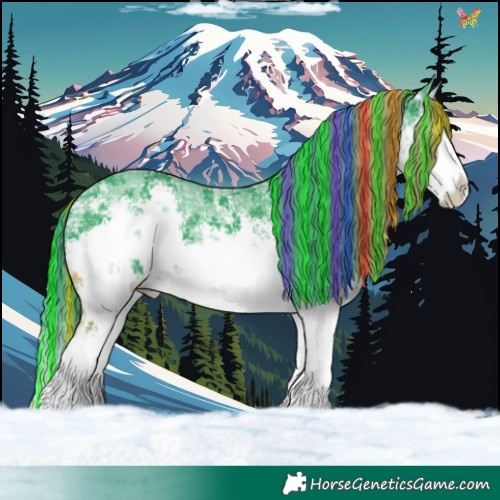 Horse Color:Painted Watercolor White Spotted Black Ice Sabino Splash 