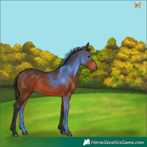 Horse Color:Painted Brown 