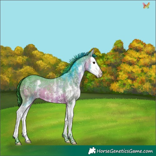 Horse Color:Watercolor Brown Sabino Splash