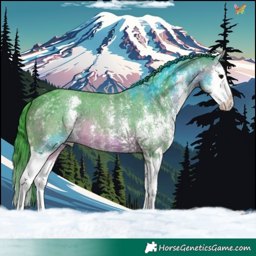 Horse Color:Watercolor Brown Sabino Splash 