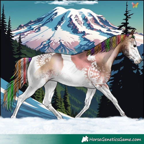 Horse Color:Painted White Spotted Brown Onyx Tobiano 