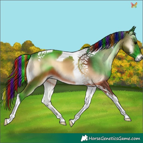 Horse Color:Painted Brown Onyx Tobiano