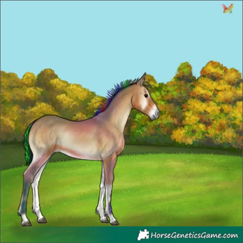 Horse Color:Painted Watercolor Bay Onyx 