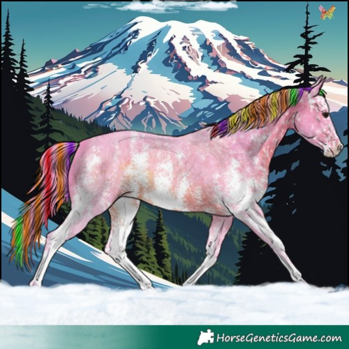 Horse Color:Painted Watercolor Brown Sabino 