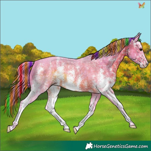 Horse Color:Painted Watercolor Brown Sabino