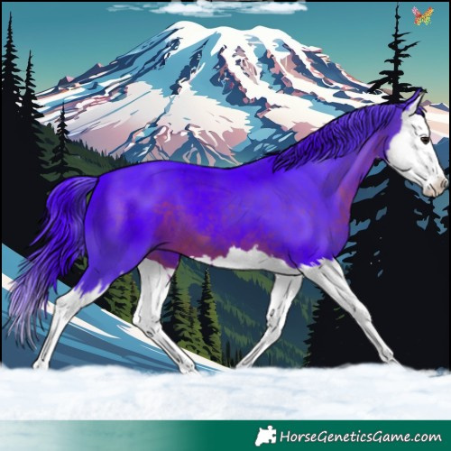 Horse Color:Watercolor White Spotted Brown Splash 