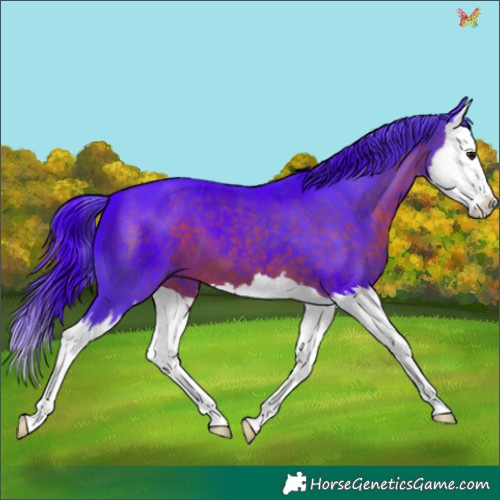 Horse Color:Watercolor White Spotted Brown Splash 