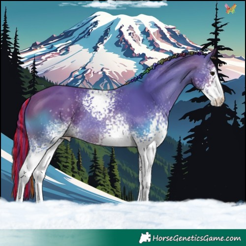 Horse Color:Painted Watercolor White Spotted Brown 