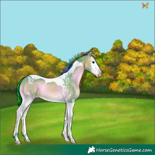 Horse Color:Painted Watercolor White Spotted Brown Onyx Tobiano 