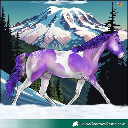 Horse Color:Watercolor Brown Onyx Tobiano 
