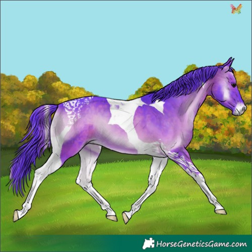 Horse Color:Watercolor Brown Onyx Tobiano 