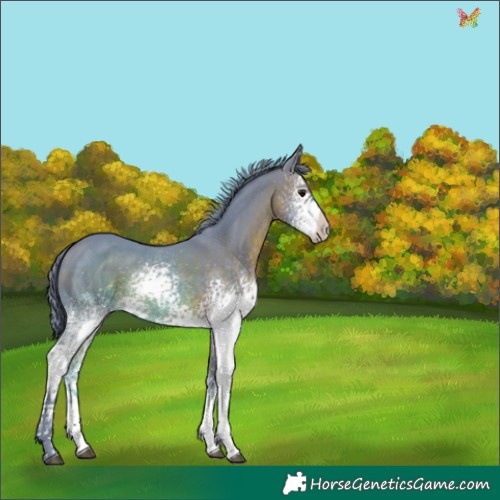 Horse Color:Watercolor White Spotted Brown 