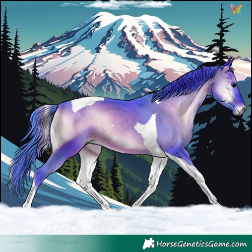Horse Color:Watercolor Brown Onyx Tobiano