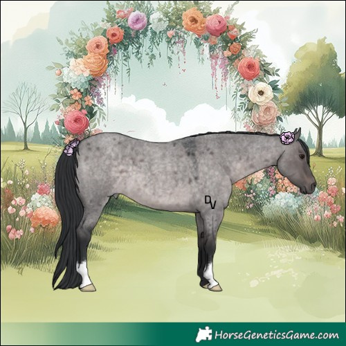 Horse Color:Platinum Brown Roan Dun 