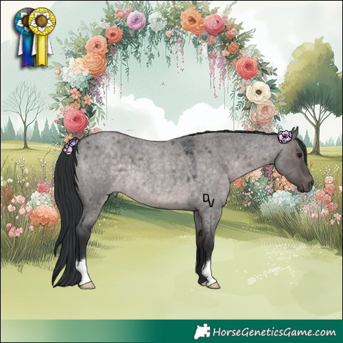 Horse Color:Platinum Brown Roan Dun 