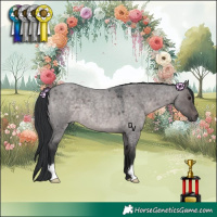 Horse Color:Platinum Brown Roan Dun