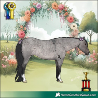 Horse Color:Platinum Brown Roan Dun