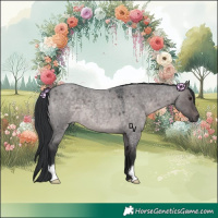 Horse Color:Platinum Brown Roan Dun