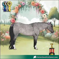 Horse Color:Platinum Brown Roan Dun