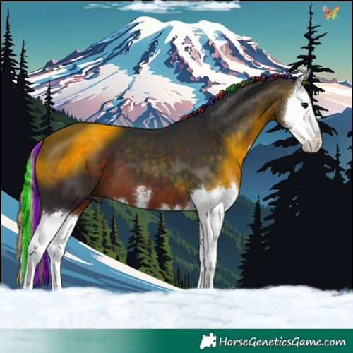 Horse Color:Painted White Spotted Brown Splash 