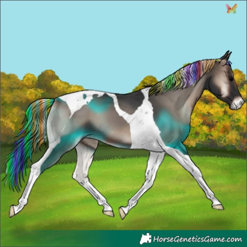 Horse Color:Painted Blue Onyx Tobiano 