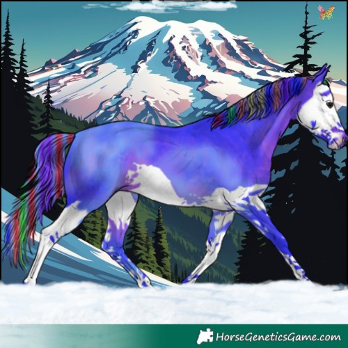 Horse Color:Painted Watercolor Brown Splash 