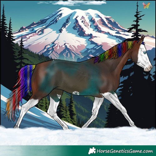Horse Color:Painted Brown Splash 