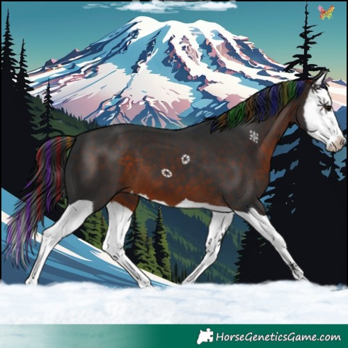 Horse Color:Painted Brown Splash 