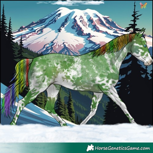 Horse Color:Painted Watercolor Brown Sabino Splash 