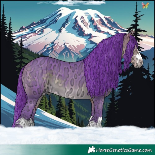 Horse Color:Watercolor Buckskin Ice 