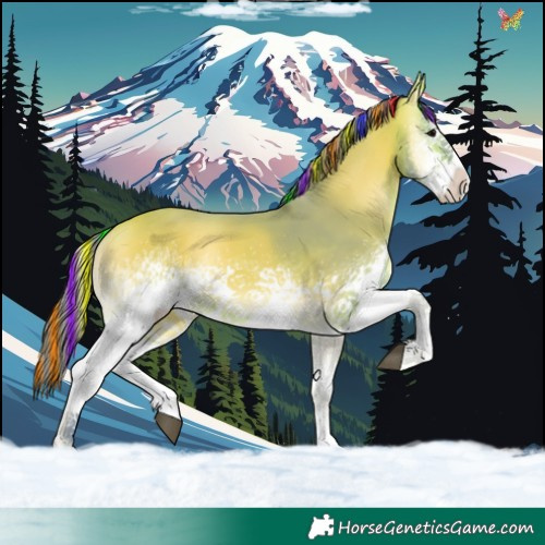 Horse Color:Painted Watercolor White Spotted Buckskin Onyx 
