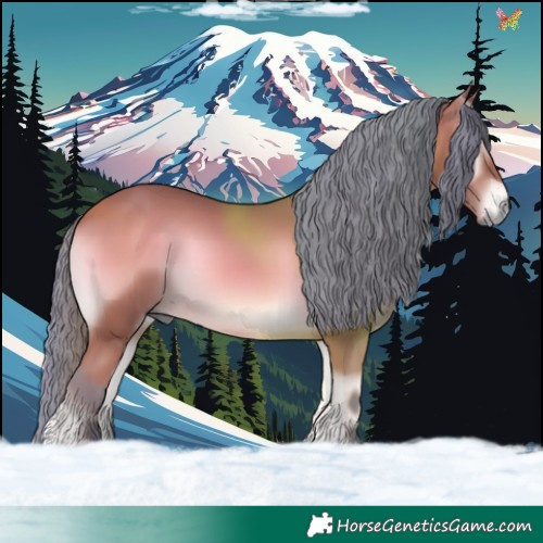 Horse Color:Watercolor Bay Onyx 