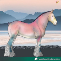 Horse Color:Watercolor Buckskin Onyx 
