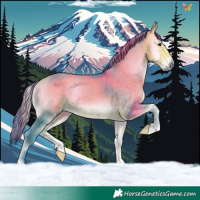 Horse Color:Watercolor Buckskin Onyx