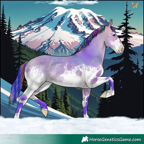 Horse Color:Painted Watercolor White Spotted Buckskin 